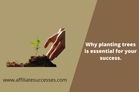 Why planting trees is essential for your success.